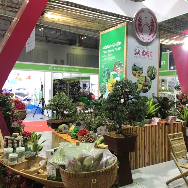 thi công gian hàng Đồng Tháp tại SECC