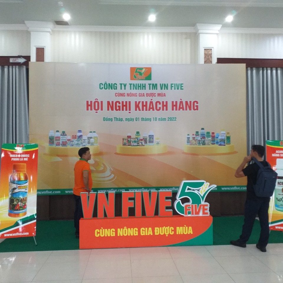 thi công tiểu cảnh chụp ảnh tại Cao Lãnh