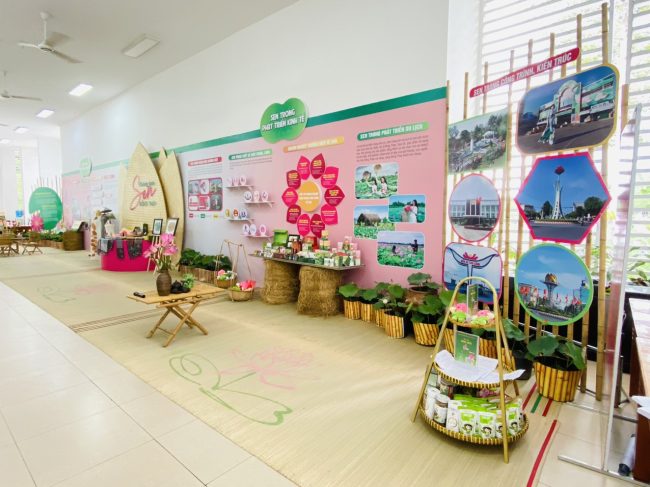 thi công tiểu cảnh sự kiện Đồng Tháp